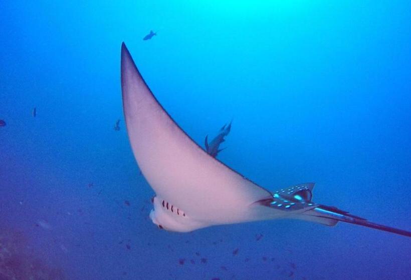 پانسیون Athiri Beach Maldives