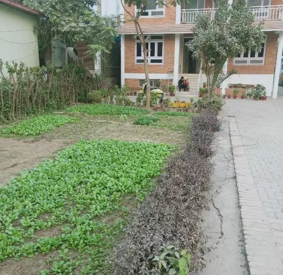 پانسیون 行者之家sunflower