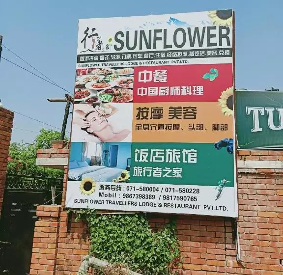 پانسیون 行者之家sunflower