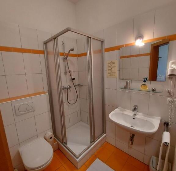 فندق صغير Wollsdorferhof