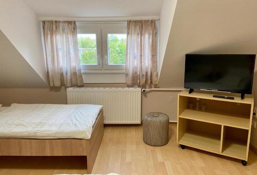 بنسيون Vincze Vendégház