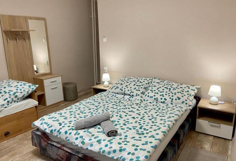 بنسيون Vincze Vendégház