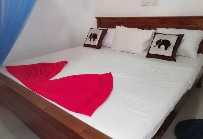ユースホステル Nest Rest Inn