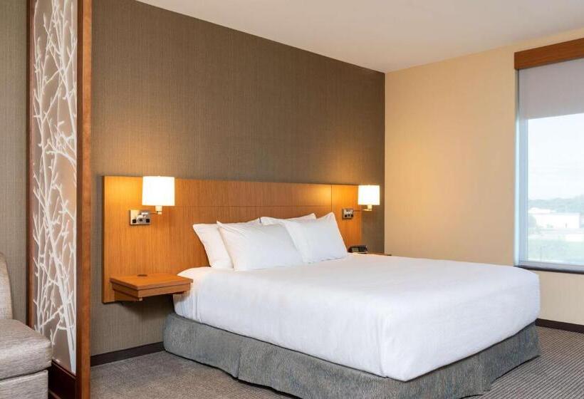 Отель Hyatt Place Flint/Grand Blanc