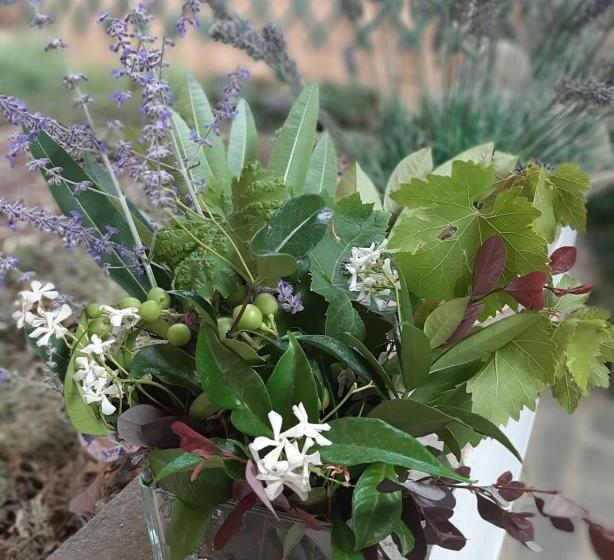 פנסיון Relais Juliette