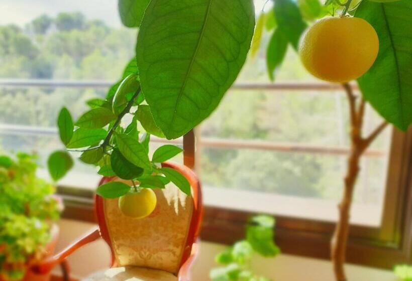 فندق El Rincón De La Espe