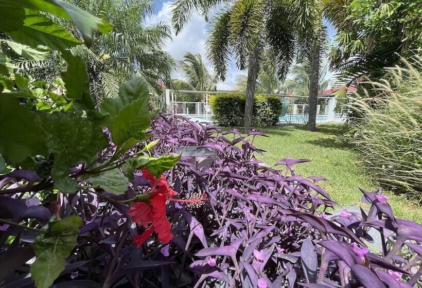 Hôtel & Villa Le Cocotel