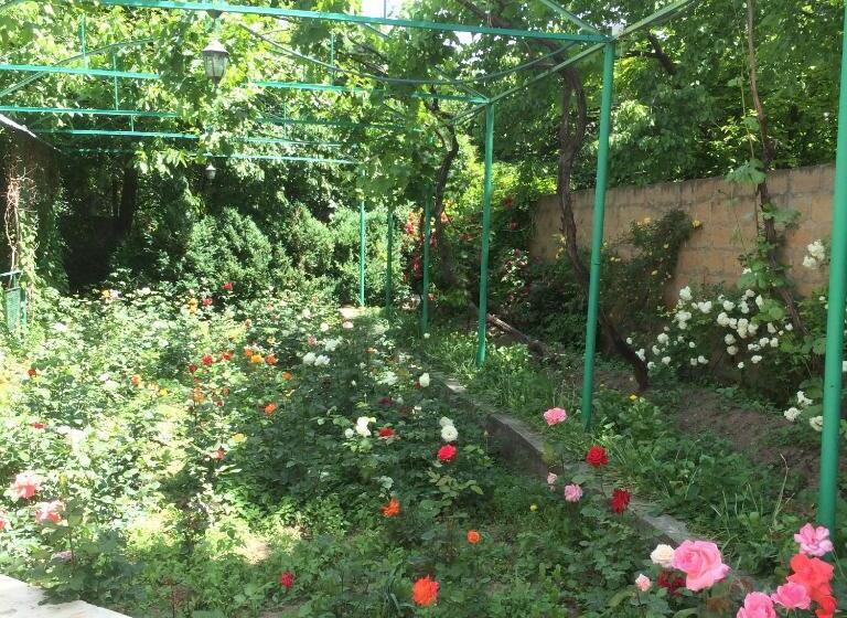 پانسیون Eco Resort Lorret