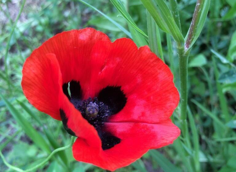 پانسیون Eco Resort Lorret