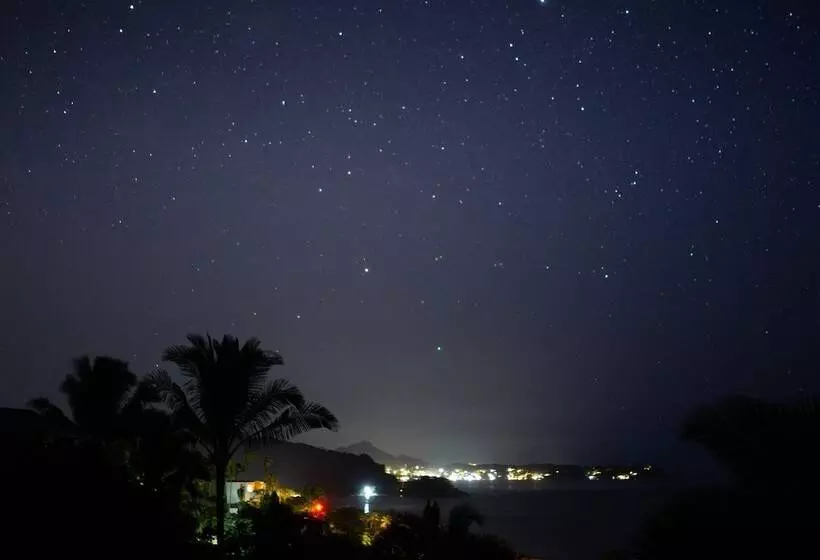 Majatalo Special Place Where You Combine The Peace Of The Jungle With The Ocean View