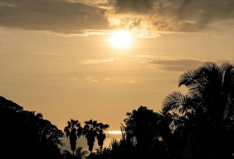 Pension Special Place Where You Combine The Peace Of The Jungle With The Ocean View