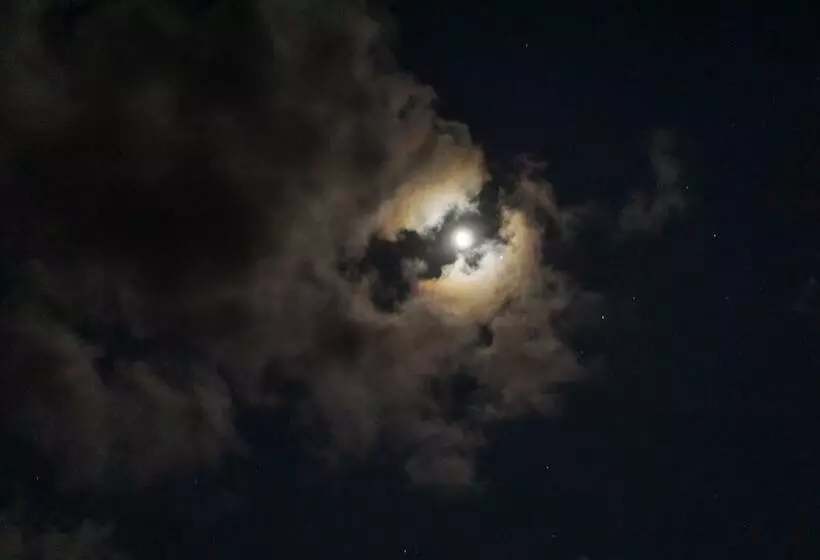 Majatalo Special Place Where You Combine The Peace Of The Jungle With The Ocean View