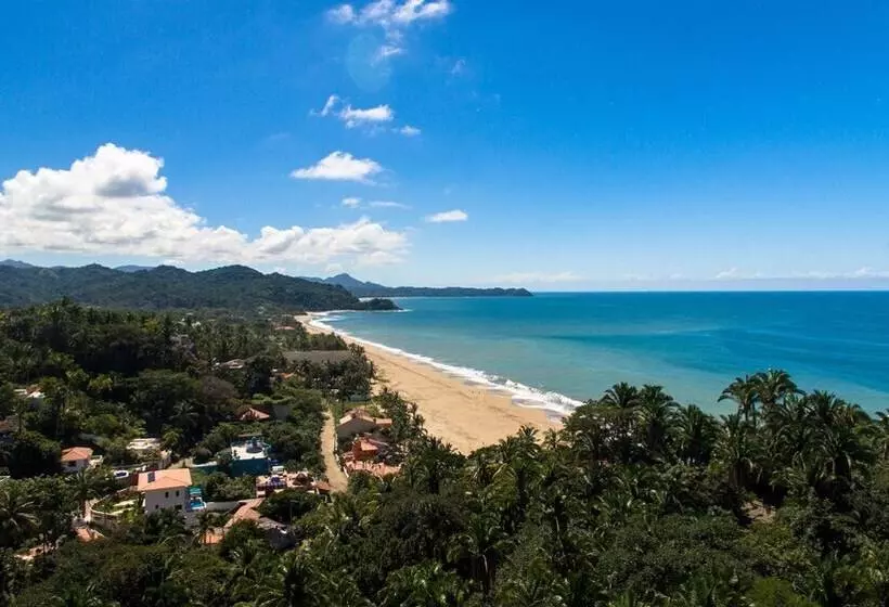 Majatalo Special Place Where You Combine The Peace Of The Jungle With The Ocean View