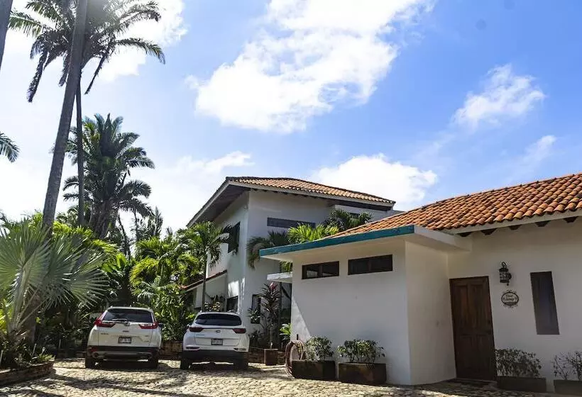 Majatalo Special Place Where You Combine The Peace Of The Jungle With The Ocean View