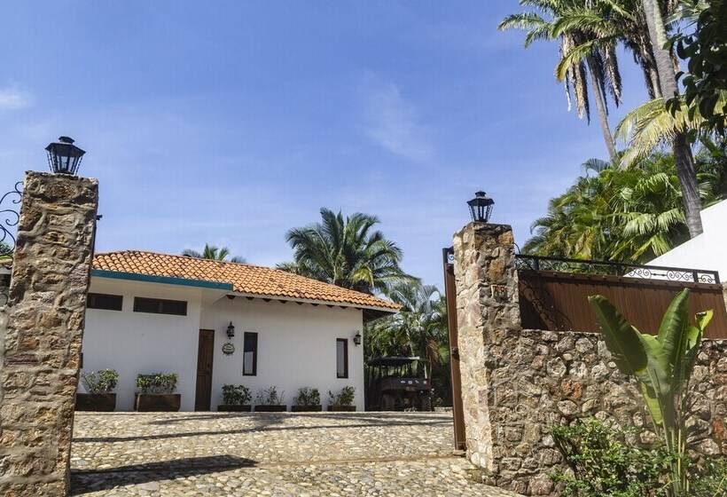 Pension Special Place Where You Combine The Peace Of The Jungle With The Ocean View