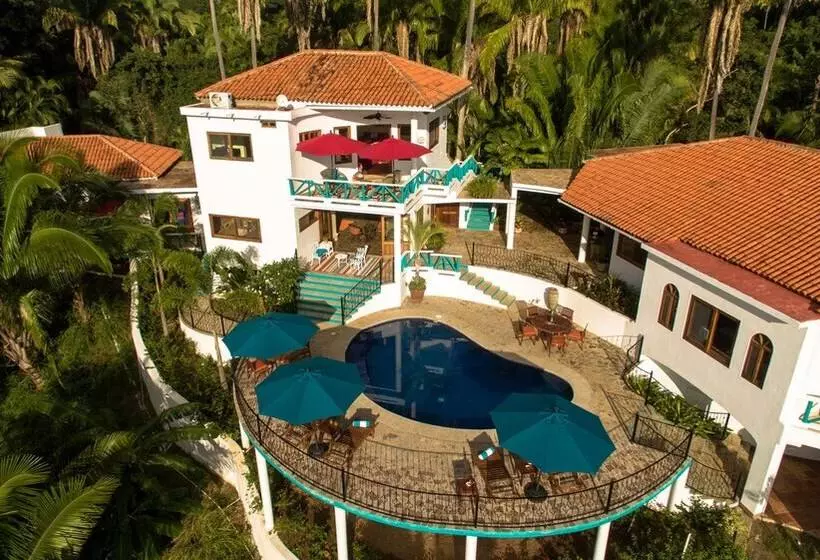 Majatalo Special Place Where You Combine The Peace Of The Jungle With The Ocean View