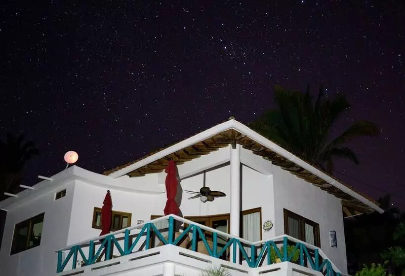 Majatalo Special Place Where You Combine The Peace Of The Jungle With The Ocean View