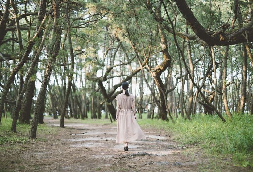 בית מלון כפרי Karae