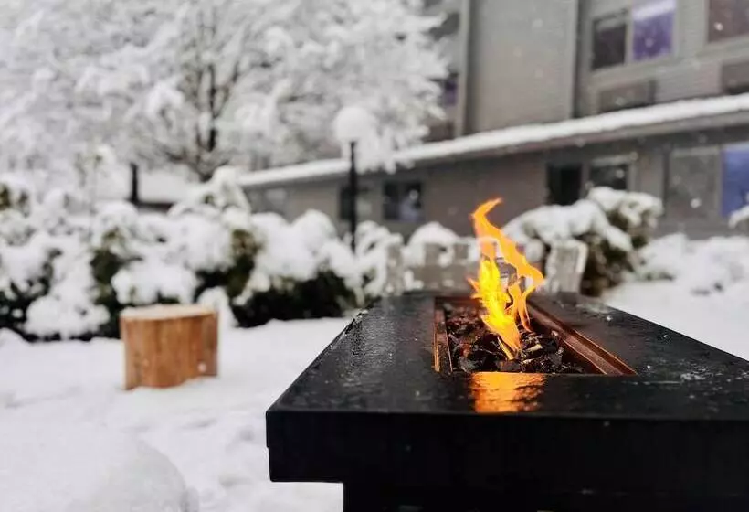 Отель Bluebird Sunapee