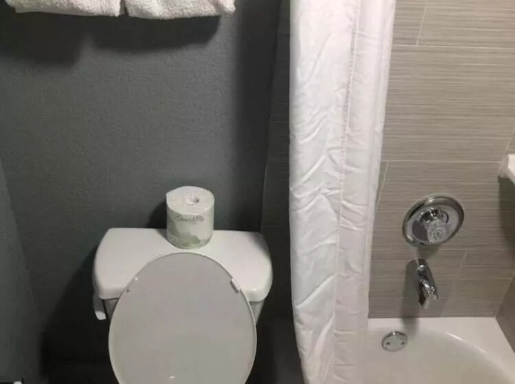 فندق Brandon Motor Lodge