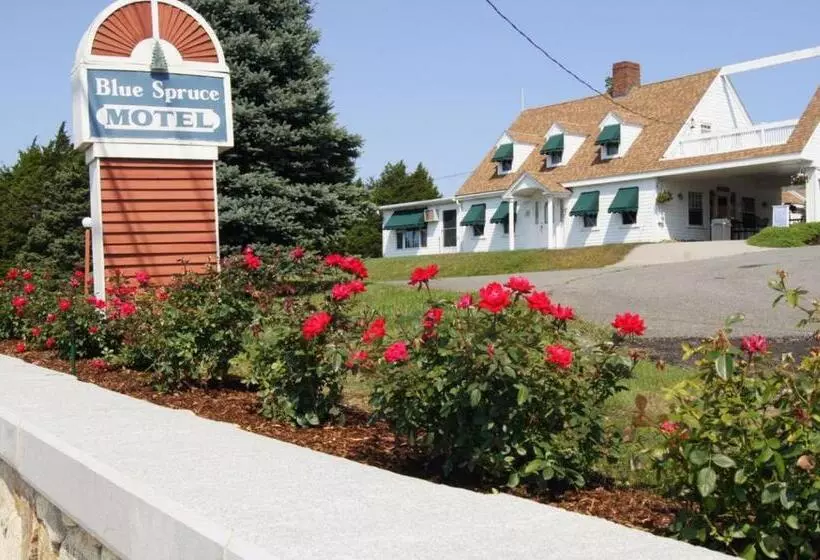 モーテル Blue Spruce