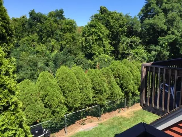 モーテル Blue Spruce