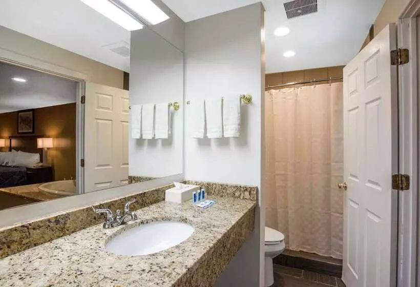 Мотель Rodeway Inn Lyons  La Grange