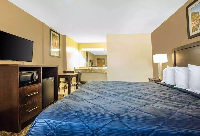 Мотель Rodeway Inn Lyons  La Grange