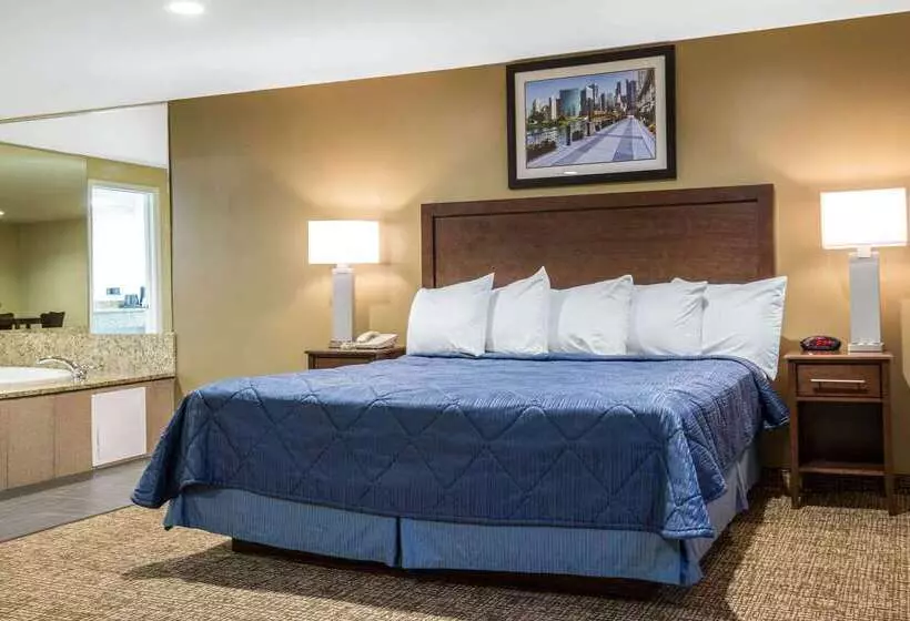 Мотель Rodeway Inn Lyons  La Grange