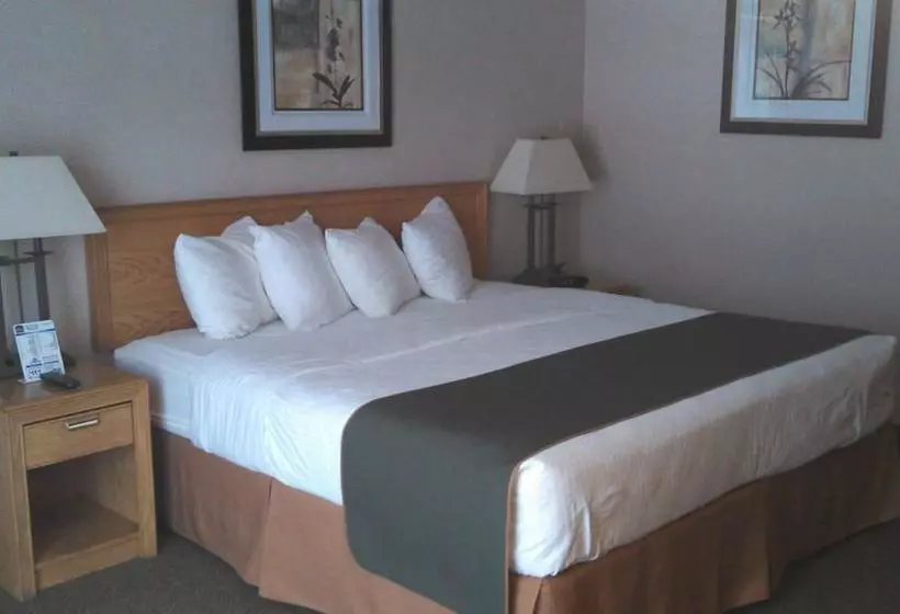 渡假胜地  Best Western Valley Plaza Inn