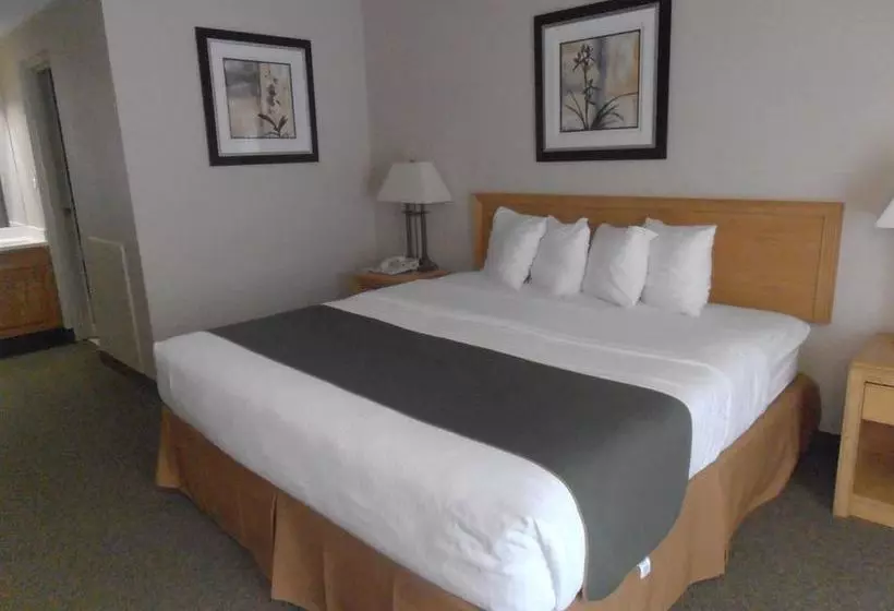 渡假胜地  Best Western Valley Plaza Inn