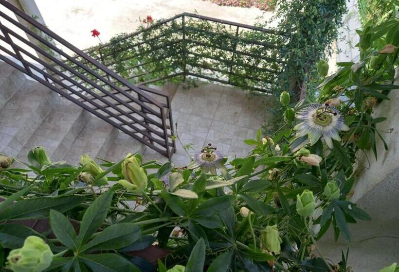 پانسیون Flamingo