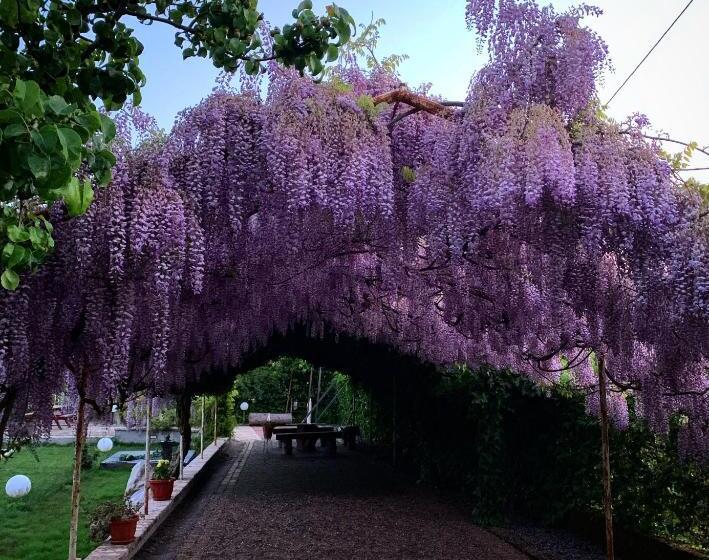 ベッドアンドブレックファースト La Brezza Del Pollino