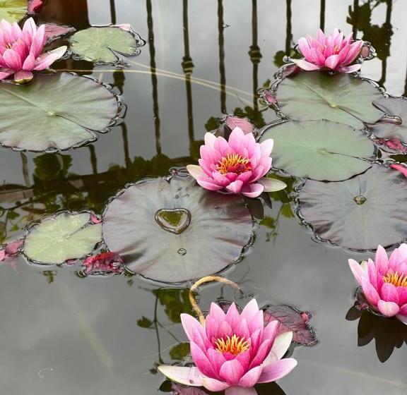 ベッドアンドブレックファースト La Brezza Del Pollino