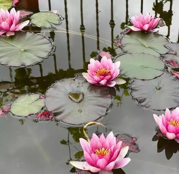 ベッドアンドブレックファースト La Brezza Del Pollino