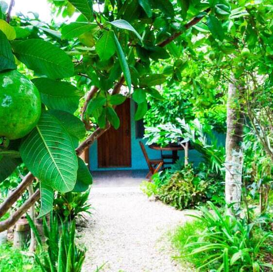 ホテル Cabañas Las Palmas