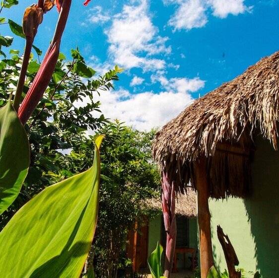 ホテル Cabañas Las Palmas