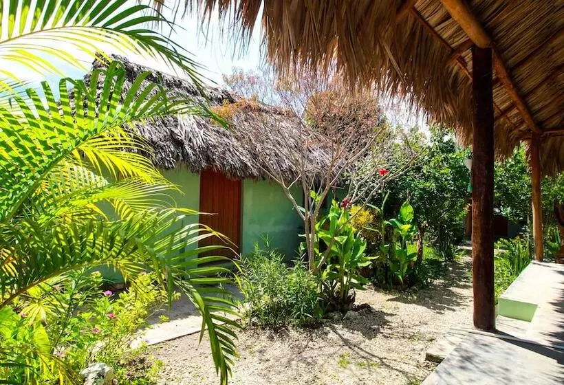 هتل Cabañas Las Palmas