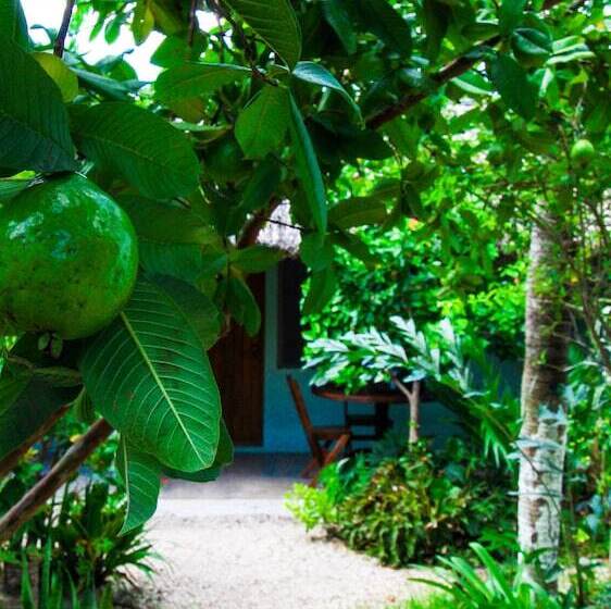 ホテル Cabañas Las Palmas