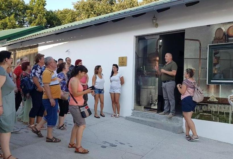 تختخواب و صبحانه Apartmani Bojeresku Negotin