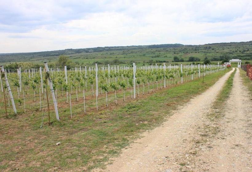 تختخواب و صبحانه Apartmani Bojeresku Negotin