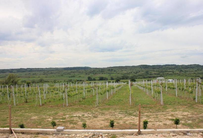 تختخواب و صبحانه Apartmani Bojeresku Negotin