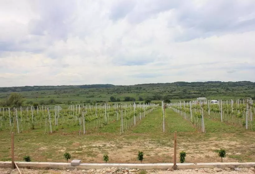 تختخواب و صبحانه Apartmani Bojeresku Negotin