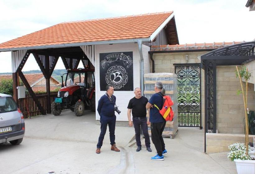 تختخواب و صبحانه Apartmani Bojeresku Negotin