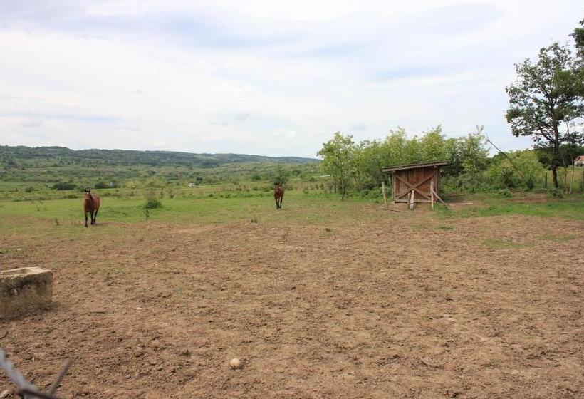 تختخواب و صبحانه Apartmani Bojeresku Negotin