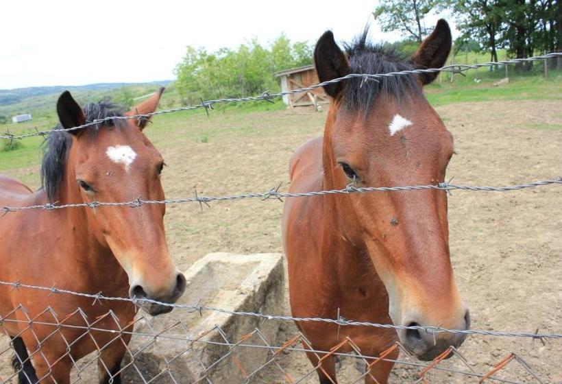 تختخواب و صبحانه Apartmani Bojeresku Negotin