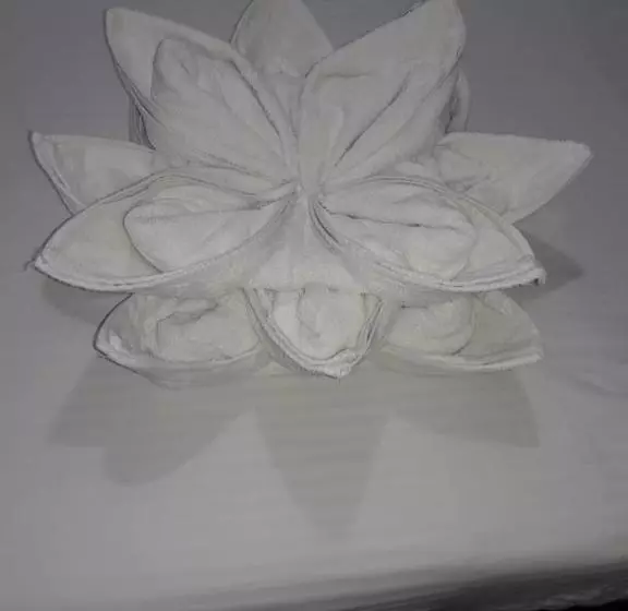 ホテル Vindhwashni