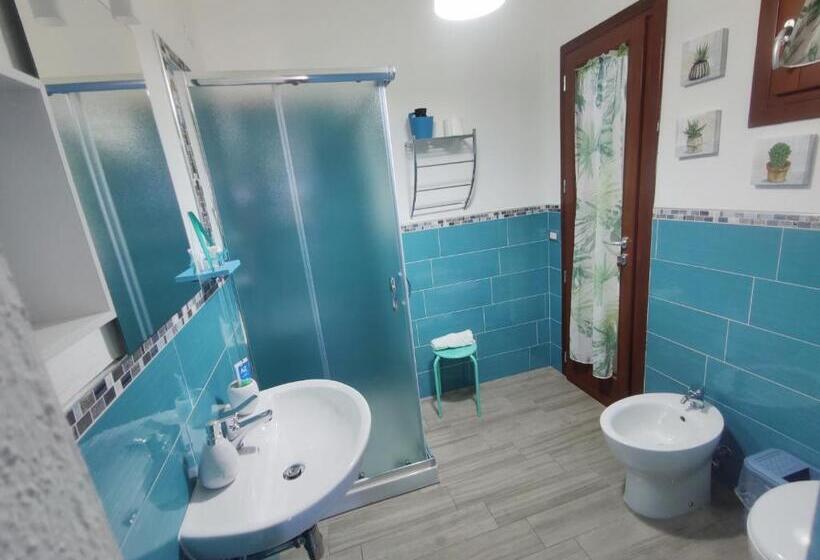 بنسيون Sisinedda