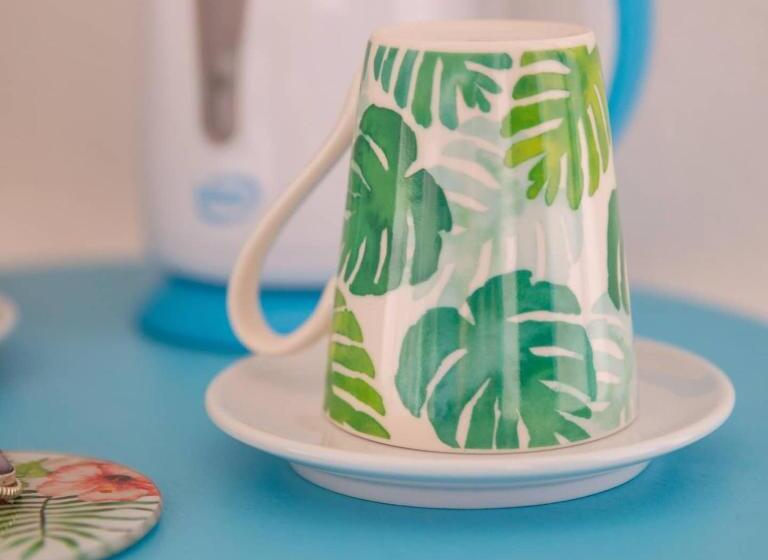 بنسيون Sisinedda