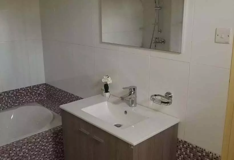 ベッドアンドブレックファースト Balance Sheet